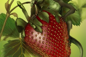 Strawberry Thief