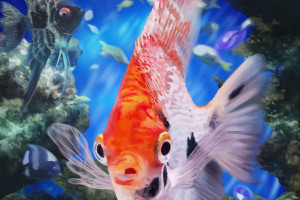 "Зачем пожаловал?!"